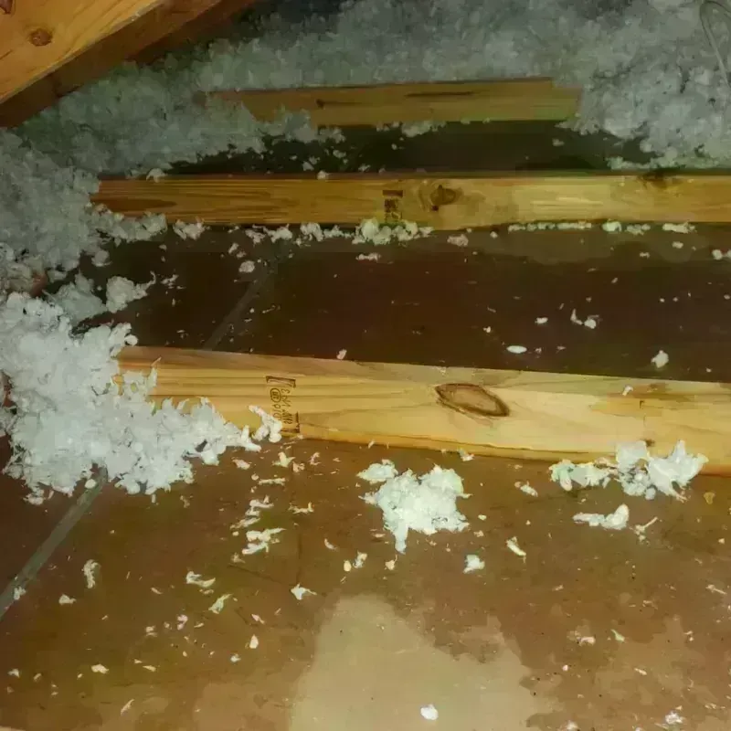 Attic Water Damage in Lares, PR